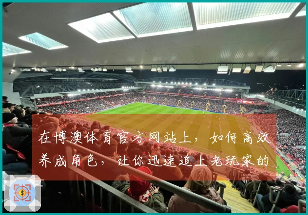 在博澳体育官方网站上，如何高效养成角色，让你迅速追上老玩家的脚步？