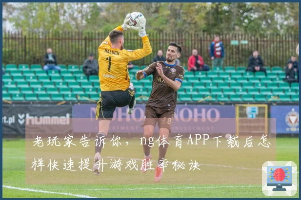 老玩家告诉你，ng体育APP下载后怎样快速提升游戏胜率秘诀